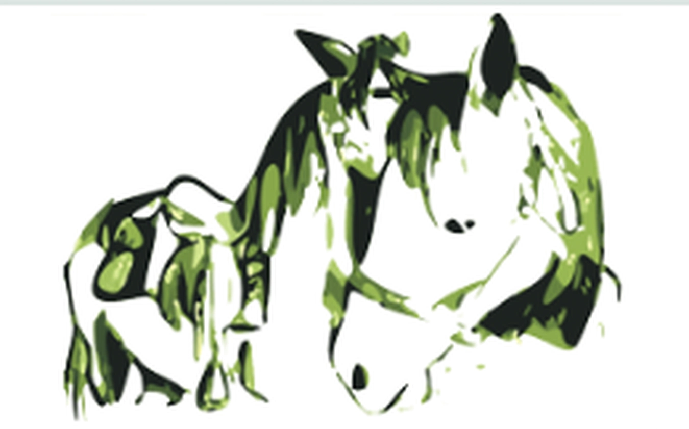 101 claude-lheureux-equi-coaching-dordogne-cheval-coach-bergerac-perigueux