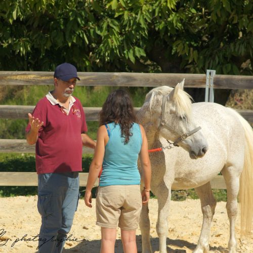 42430219_10217533384632586_8970264468730675200_o